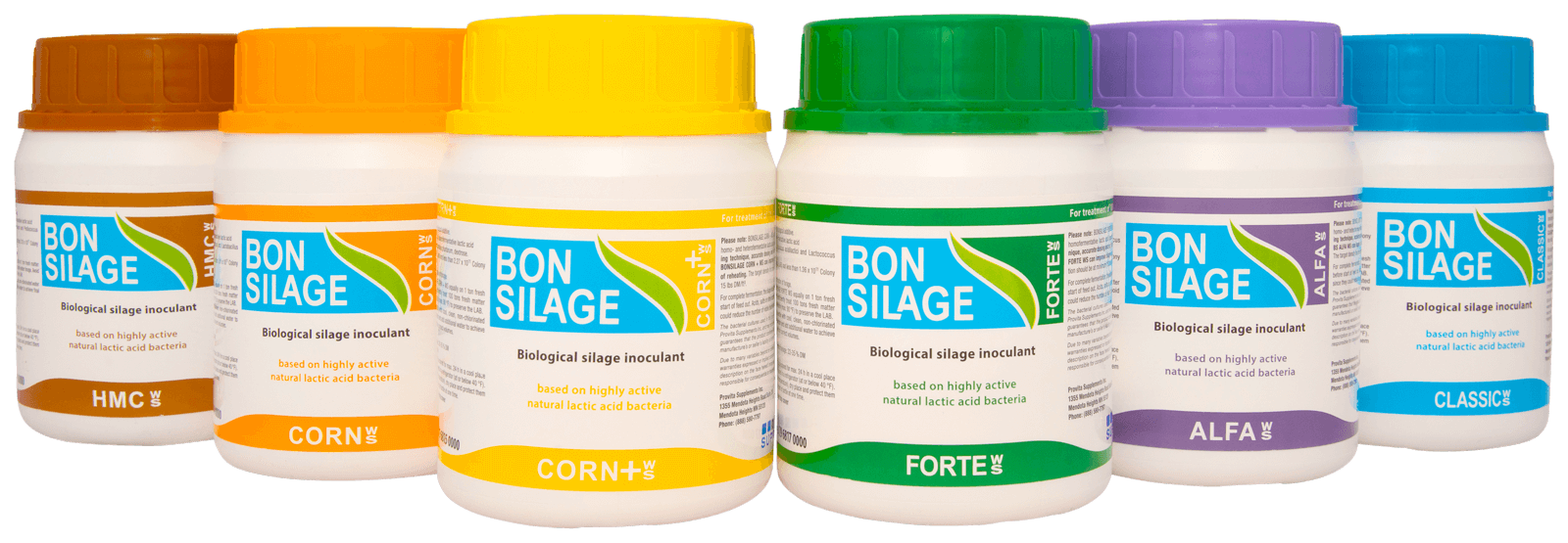 BONSILAGE US portfolio NEU2