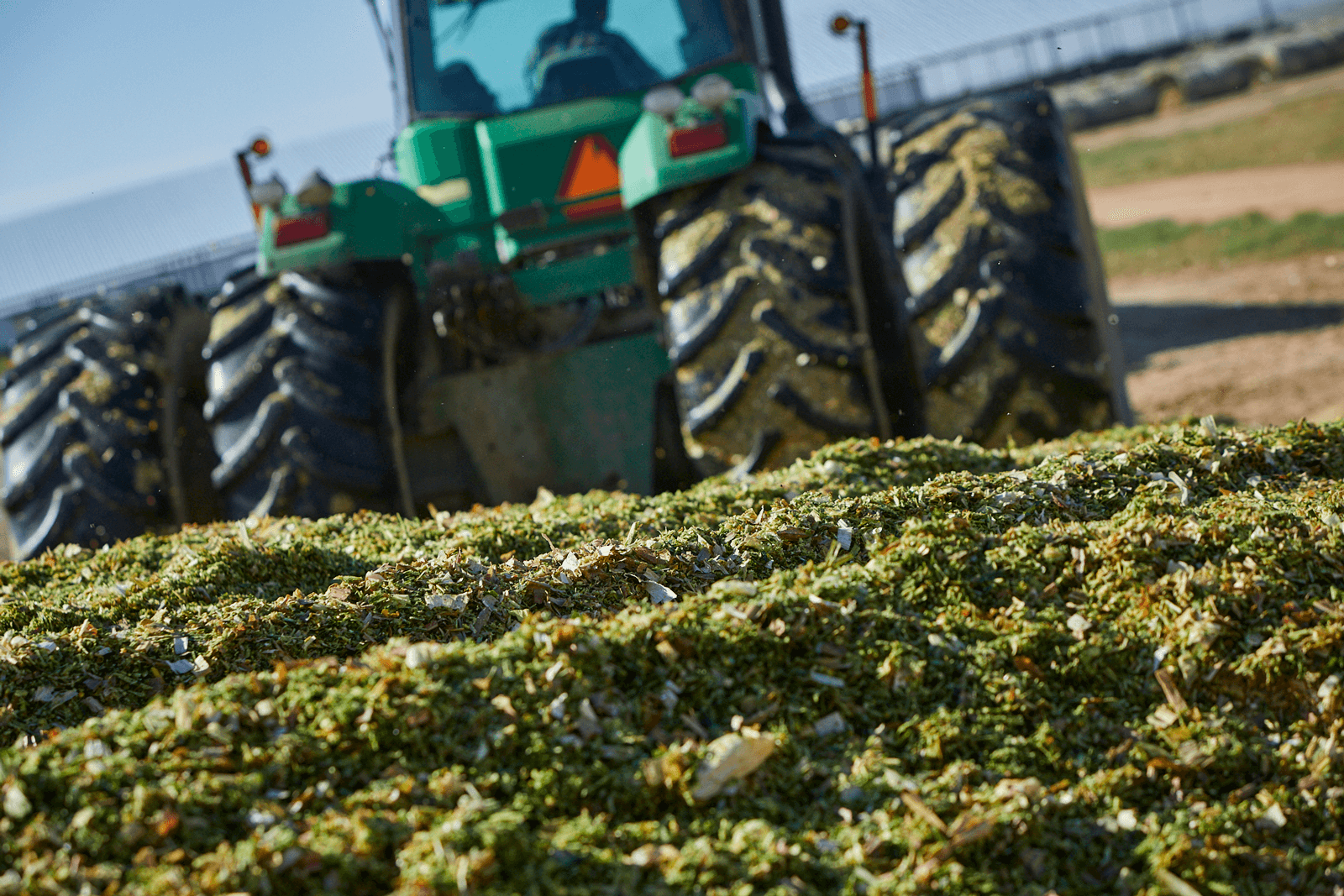 BONSILAGE CLASSIC ws 3