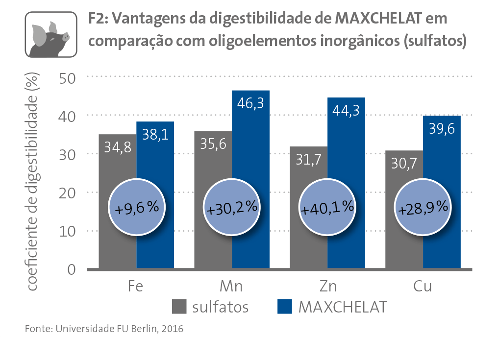 MAXCHELAT Abb F2 pt