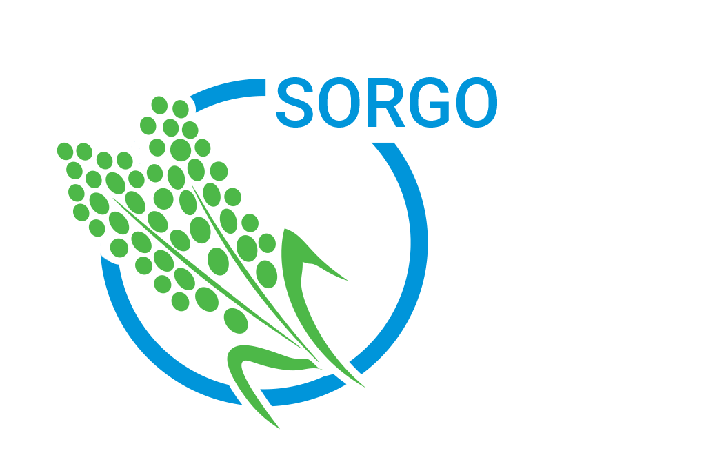CropIcons Sorgo pt
