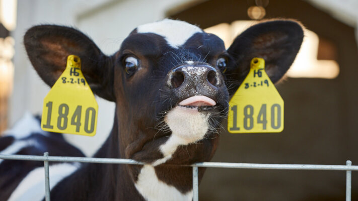 June Fertility News Header 1