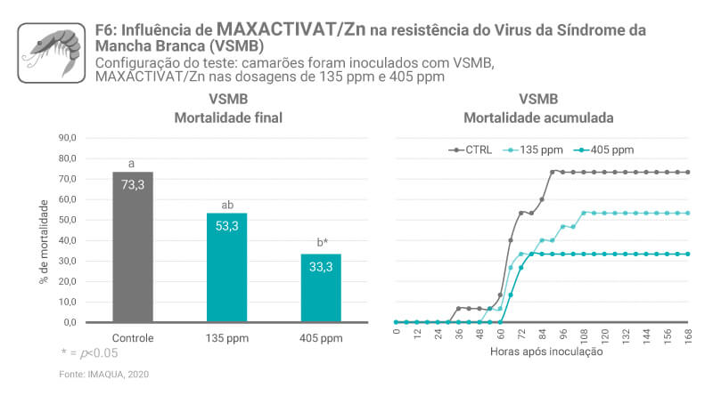 MAXACTIVATE Zn pt final
