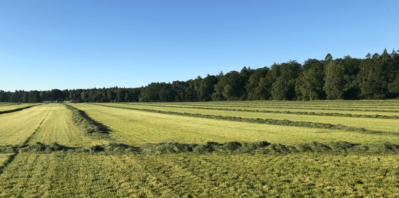 EnsilingGuide Silage Tips Kopie