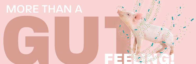 Banner MAXACTIVATZn final Kopie 2