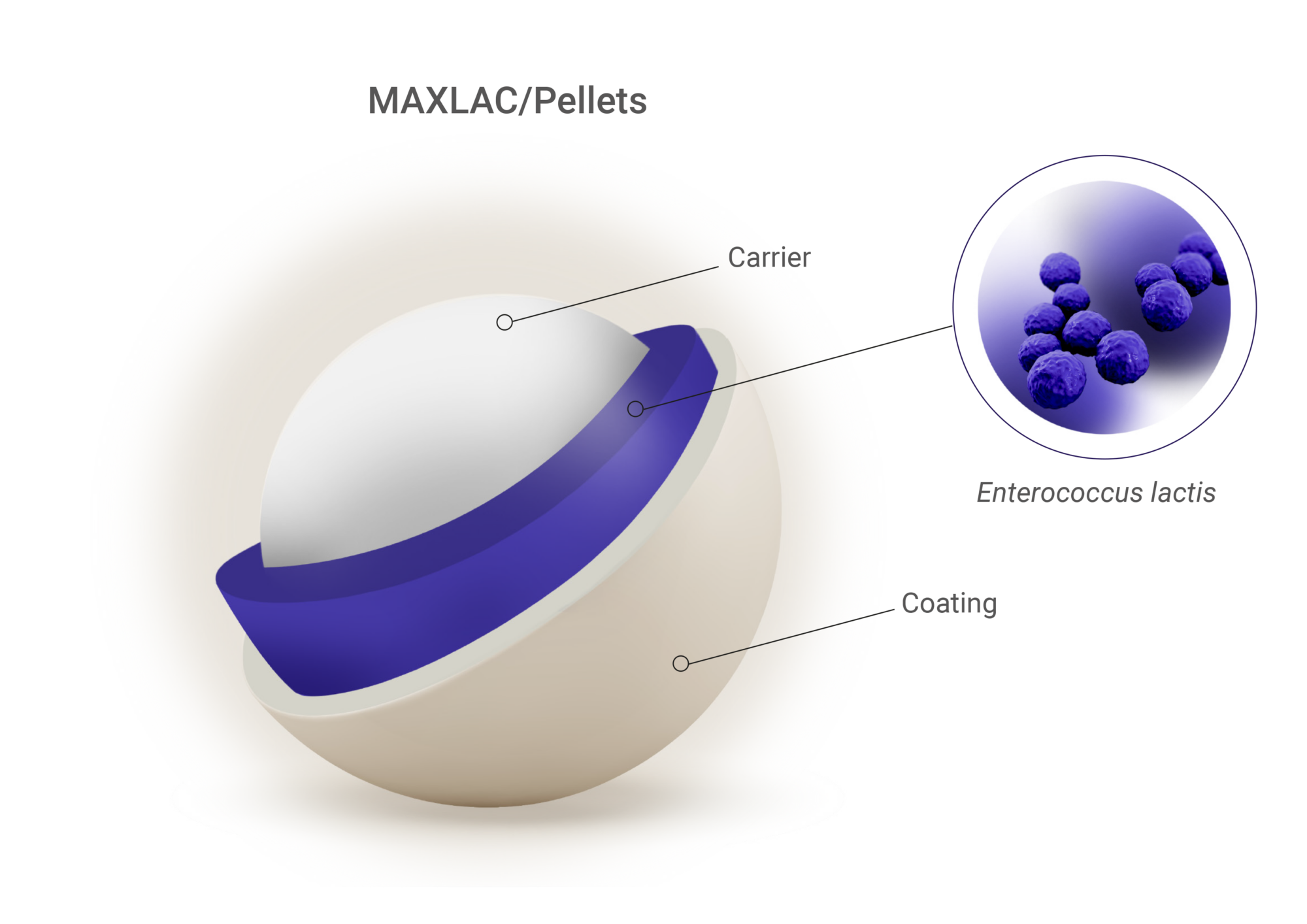 Grafik MAXLAC Pellets mit