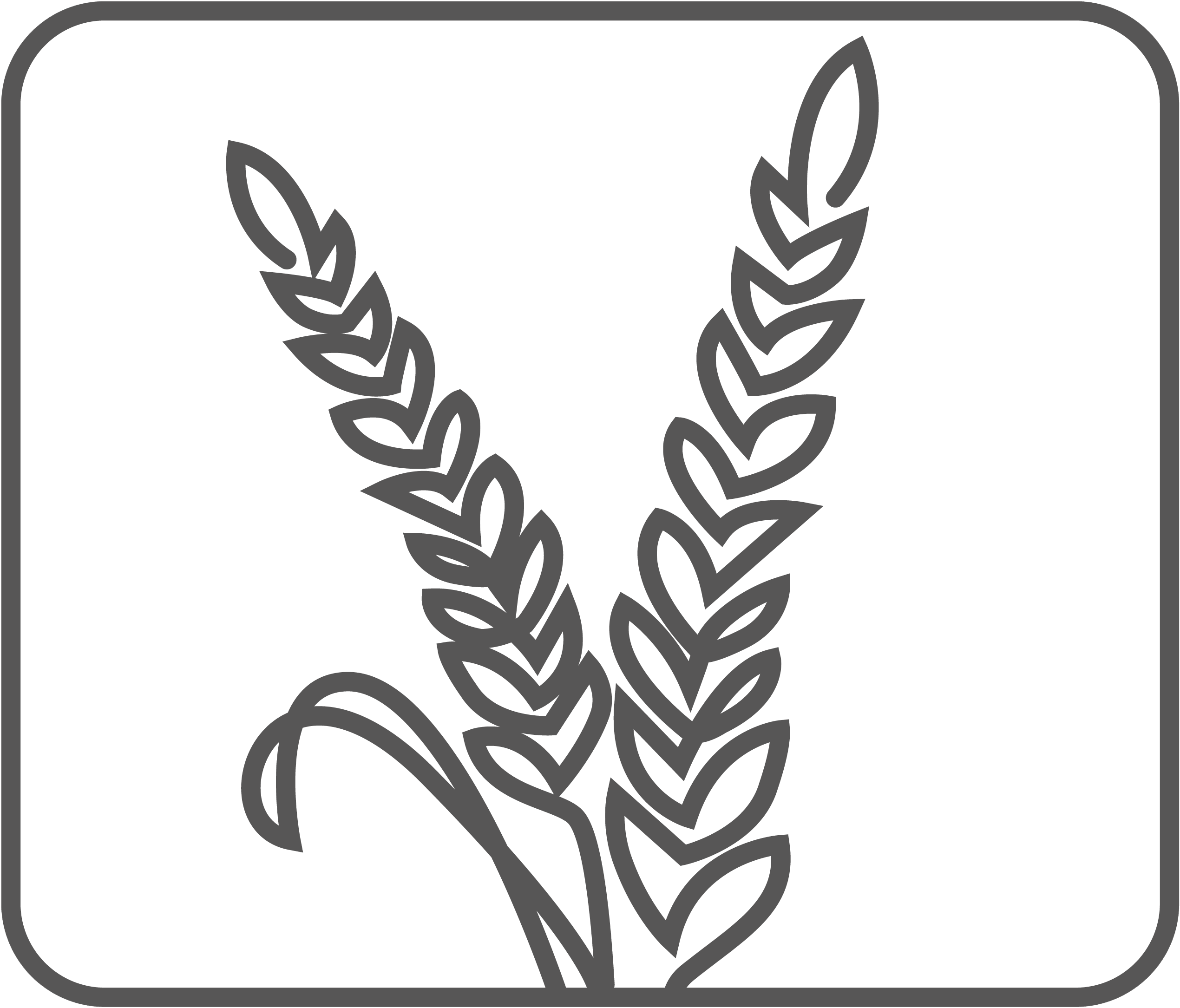 ProvitaSupplements Illustration Aehre Rahmen klein weissBack