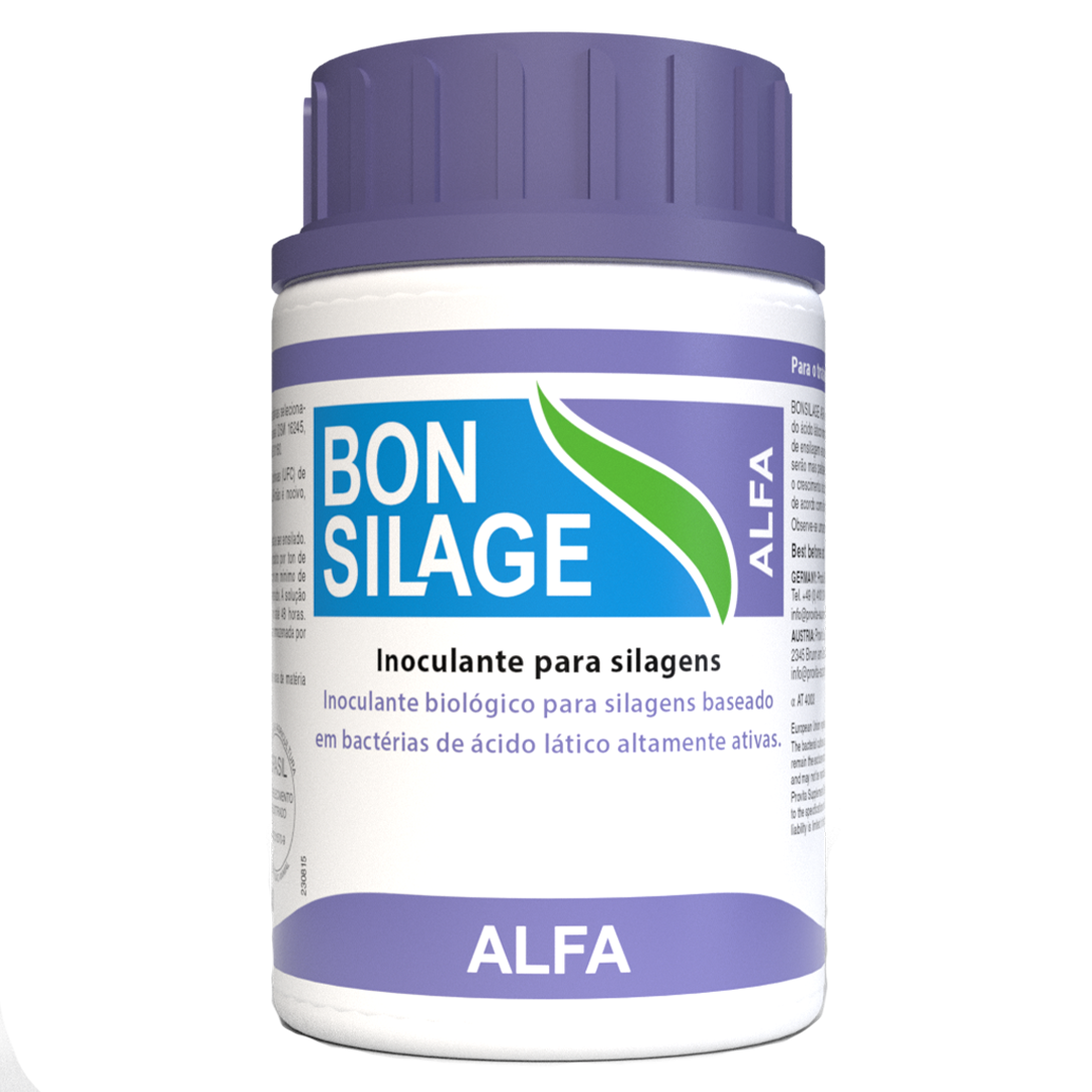 Dose 100g ALFA 3D BRA transparenz free