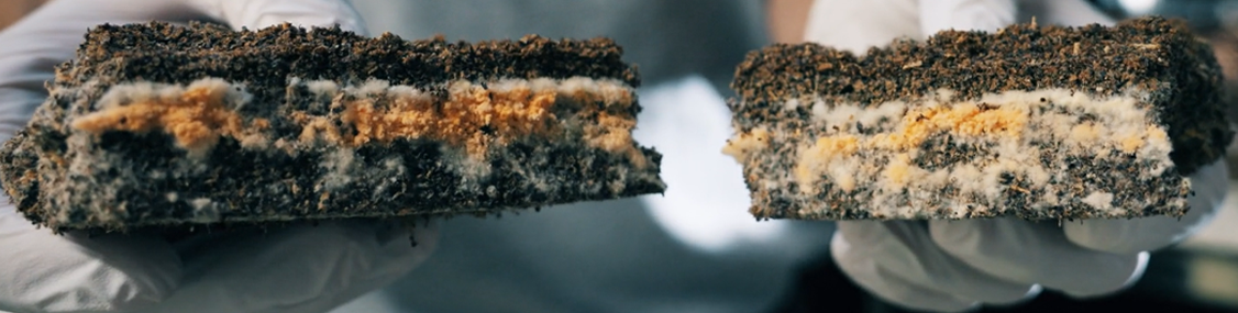 Dried Interim Product FB e1739462406848