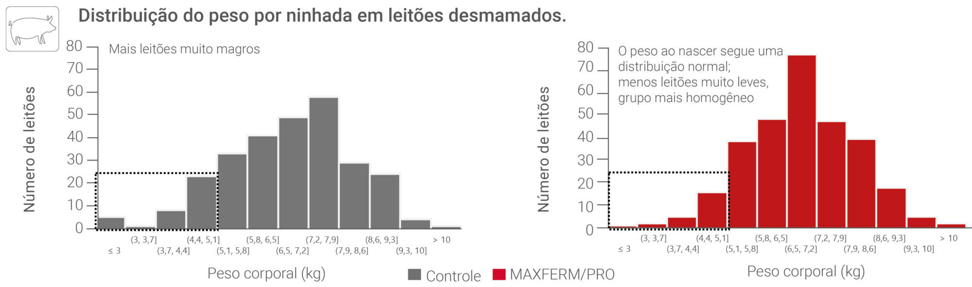 Figure Litter Weight MAXFERM PRO 2026 PT